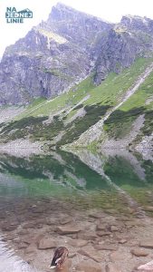 Czarny Staw Gąsienicowy. Widok na Kościelec latem