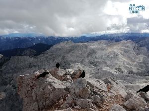 Szczyt Triglav i kruki