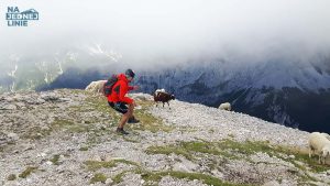 Mala Mojstrovka i stado owiec na szczycie