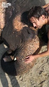 Mycie słonia w Nepalskim Parku Narodowym Chitwan