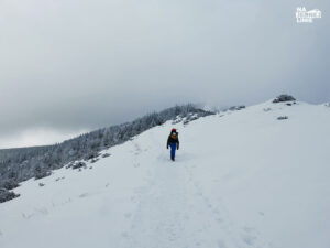 Niebieski szlak przez Boczań do Murowańca zimą - śnieg