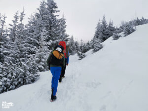 Szlak na Halę Gąsienicową zimą
