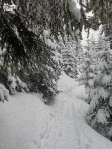 Skitury przez Myślenickie Turnie - łatwa tura Tatrach