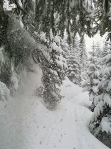 Skitury przez Myślenickie Turnie - ośnieżone drzewa