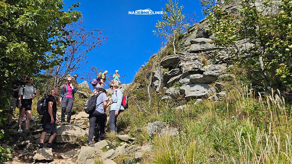 Gdzie na pierwszy trekking z dzieckiem? Rodzinna wędrówka do Chatki Puchatka w Bieszczadach
